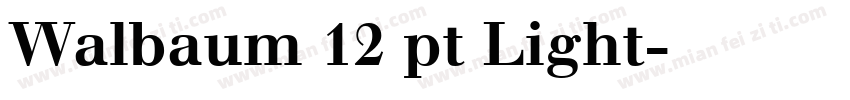 Walbaum 12 pt Light字体转换